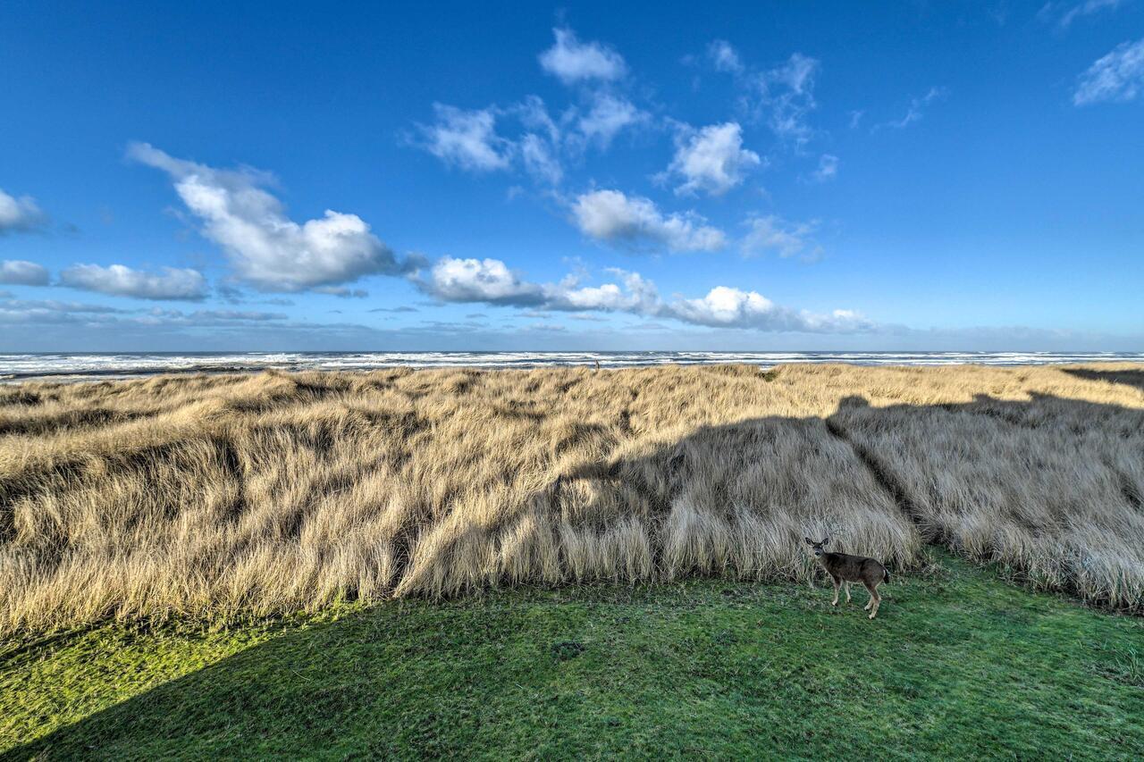 Eagles View Condo In Ocean Shores With 3 Balconies Exterior foto